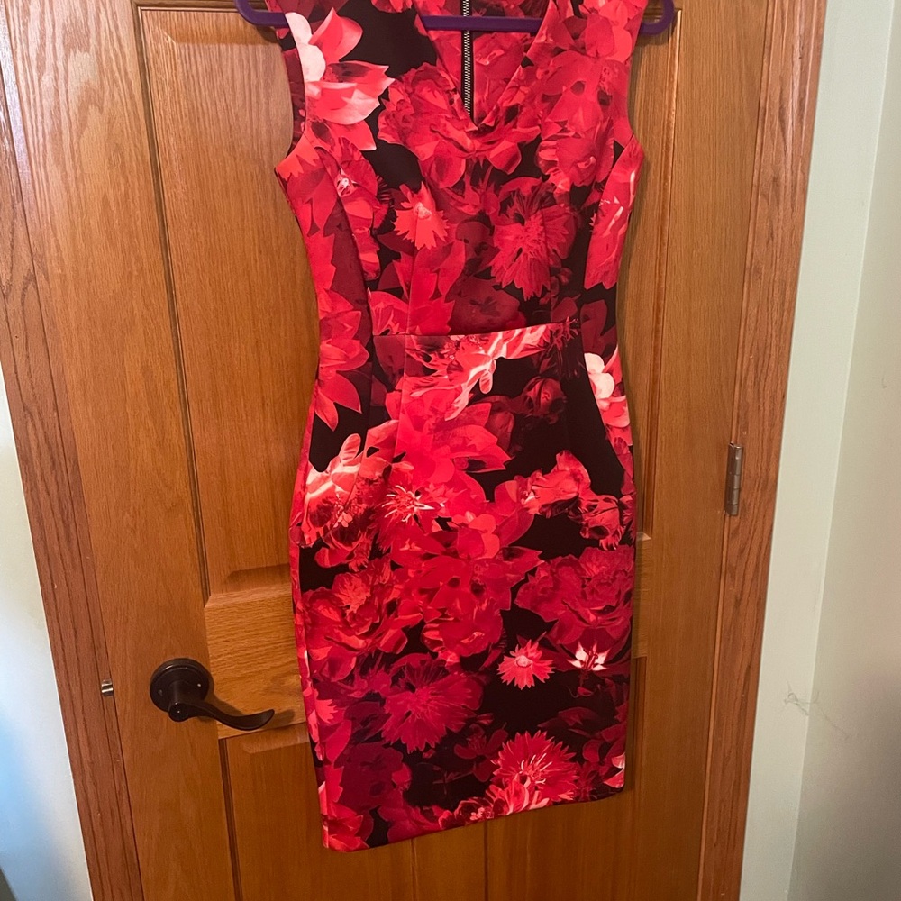 Calvin Klein Red Floral Mini Dress